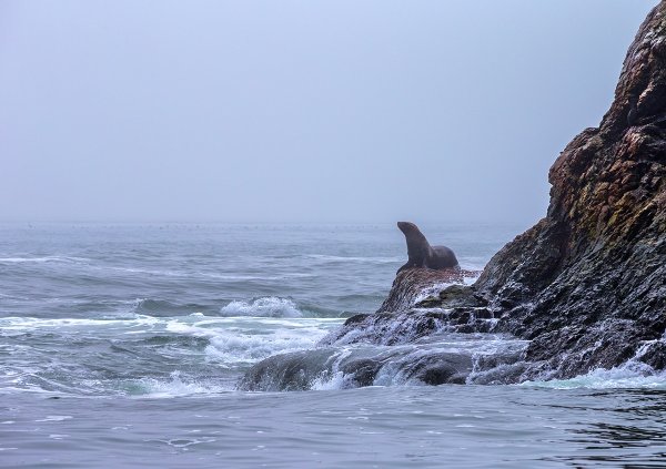 Сахалин побережье Охотского моря