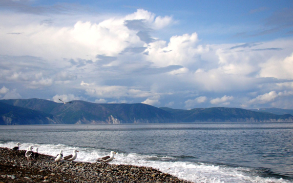 Баренцево море Азовское