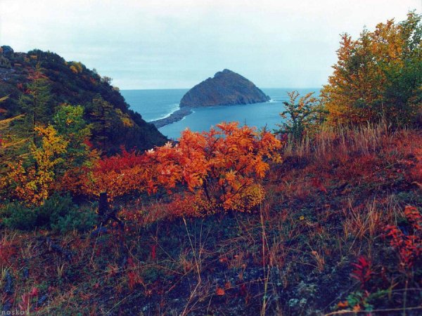 Охотское море Магадан