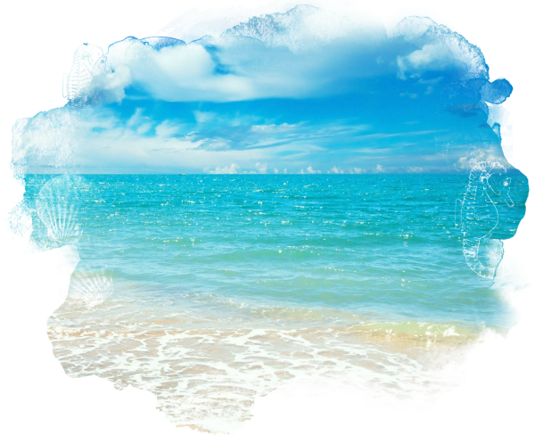 Морские пейзажи на прозрачном фоне