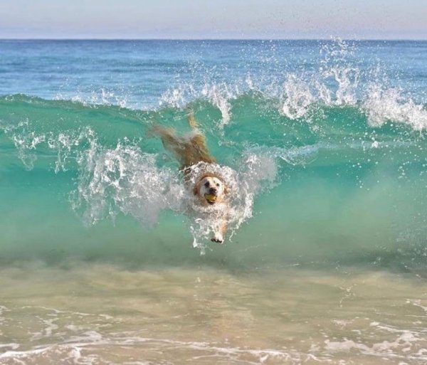 К морю надпись