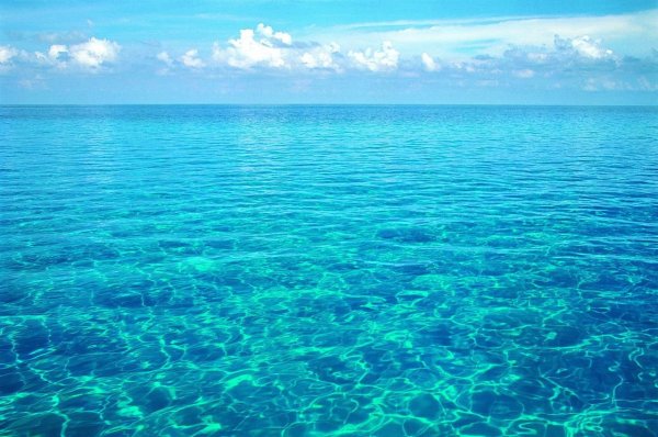 Фиолетовое море