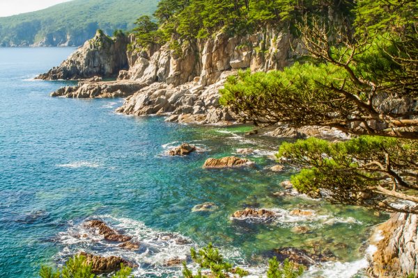 Японское море бухта теляковского