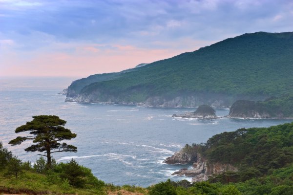 Приморский морской заповедник