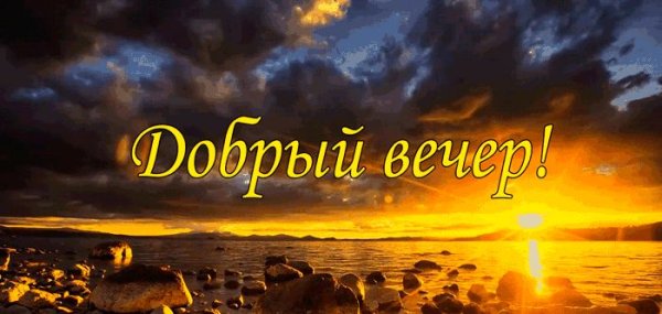 Вечерние море цветов