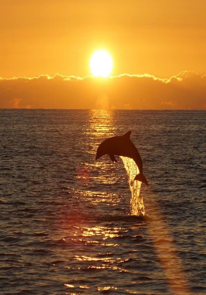 Чудесного вечера у моря