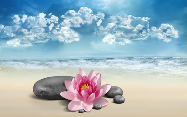 Hawaii Beach Анталия