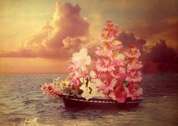 Нежные цветы и море