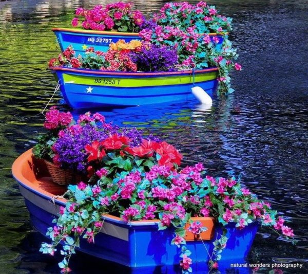 Лодка в цветах