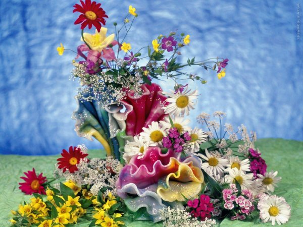 Цветы на берегу