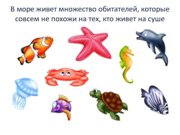 Морские жители для дошкольников