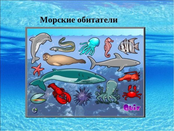 Морские обитатели для детей
