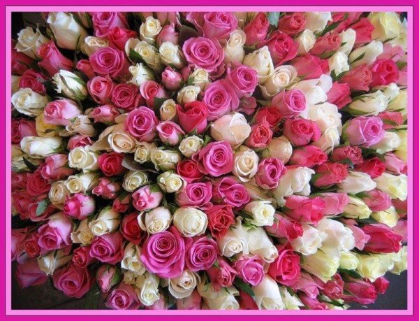 Открытка с днем рождения много цветов