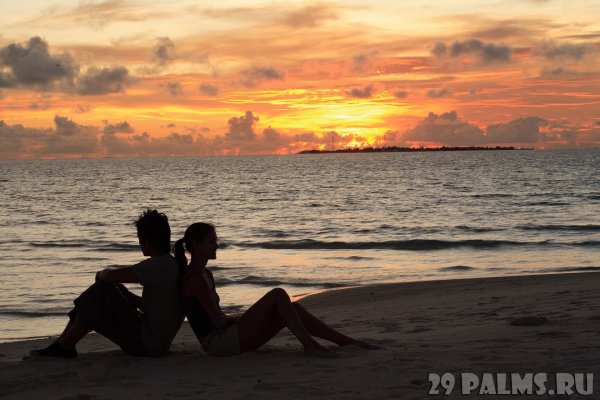 Пара на берегу