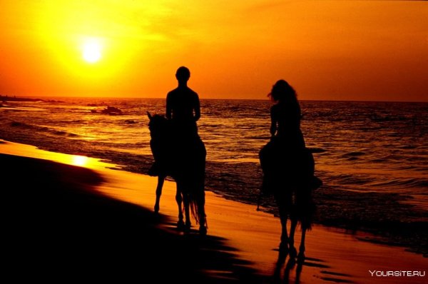 Влюбленные на море на закате