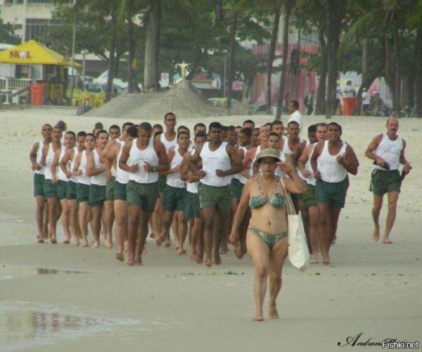 Четыре бабули на море