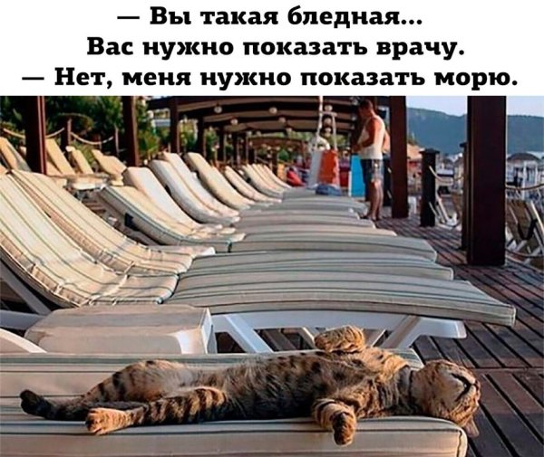 Котик отдыхает