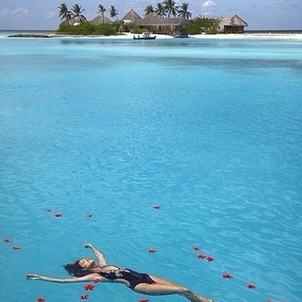 Свое место под солнцем