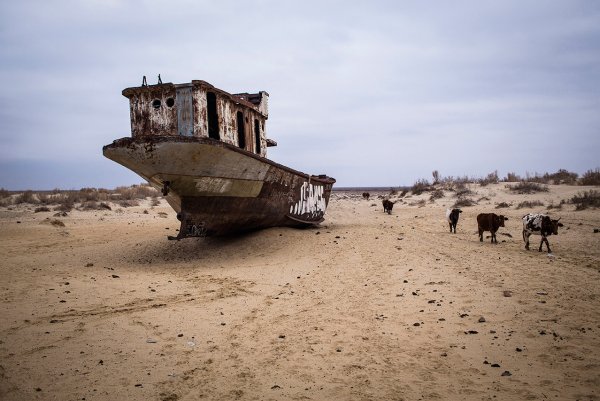 Орол денгизи