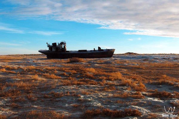 Озеро Арал Казахстан