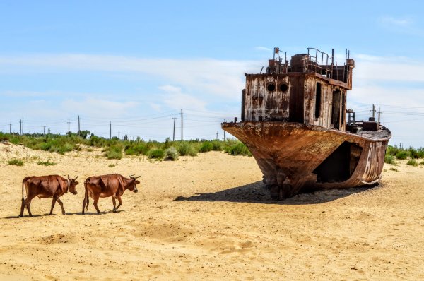 Западное Аральское море Узбекистан