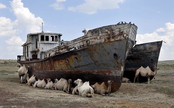 Aral Sea 2020