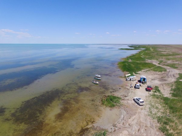 Аральское море сейчас 2021