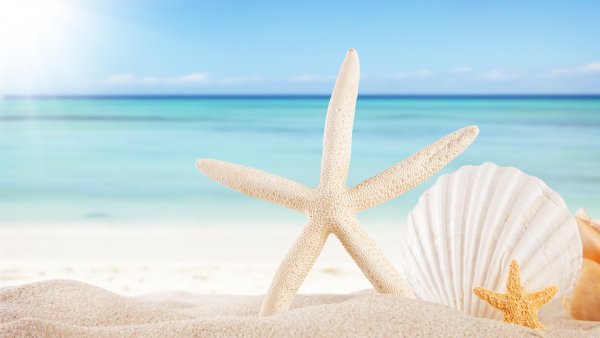 Пожелания хорошего отдыха