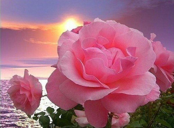 Добрый вечер солнце