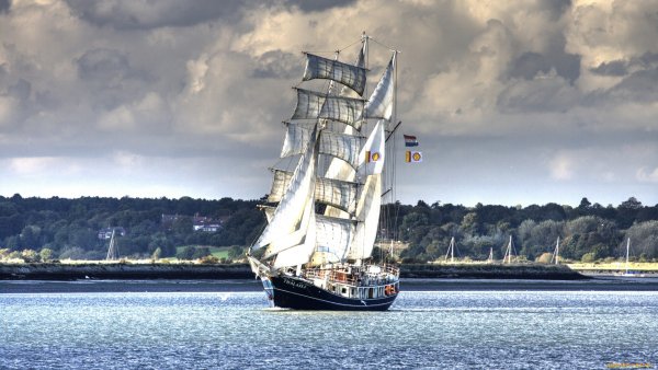 Royal Clipper регата