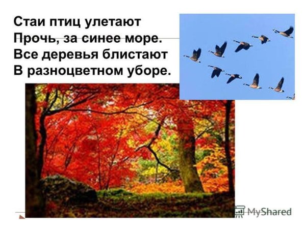 Бальмонт поспевает брусника стихотворение