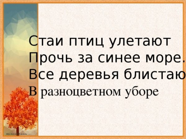 Птицы прилетают с Юга