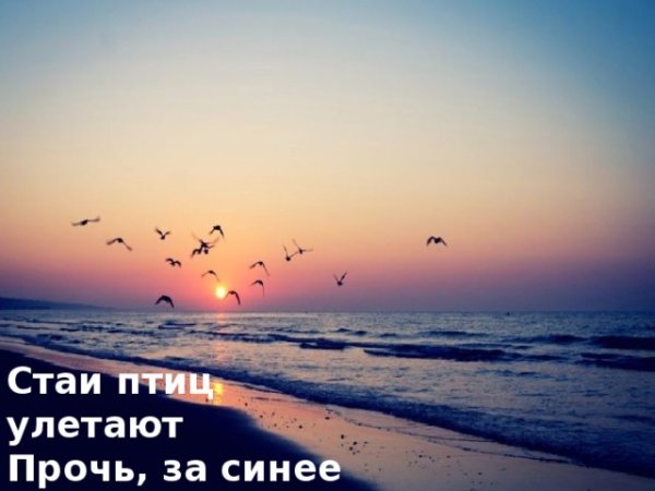 Стали дни холоднее и от птичьего крика в сердце только грустнее