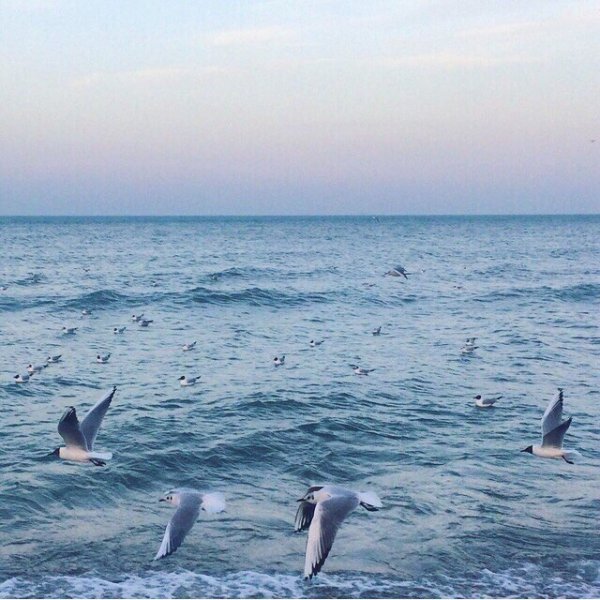 Красивые пейзажи природы море