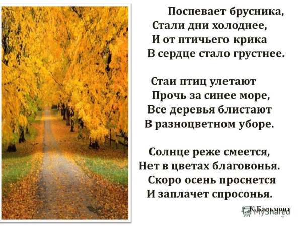 Поспевает брусника стали дни холоднее и от птичьего крика в сердце