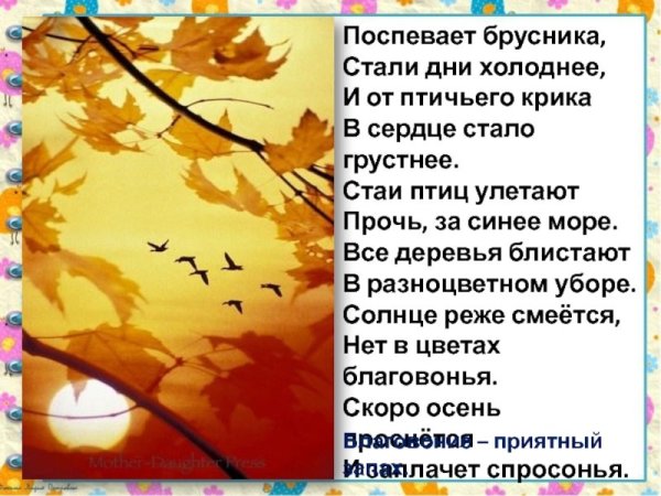 Перелет птиц