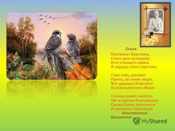 Бальмонт поспевает брусника