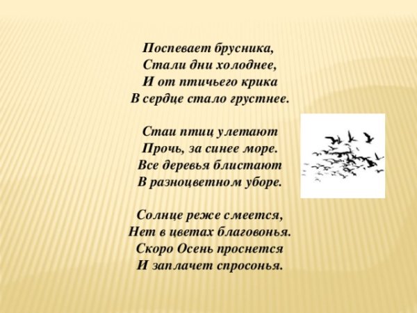 Гуси перелетные птицы Клин