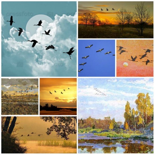 Миграция птиц на Юг