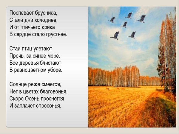 Силуэт птиц улетающих на Юг