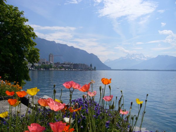 С добрым утром дельфины