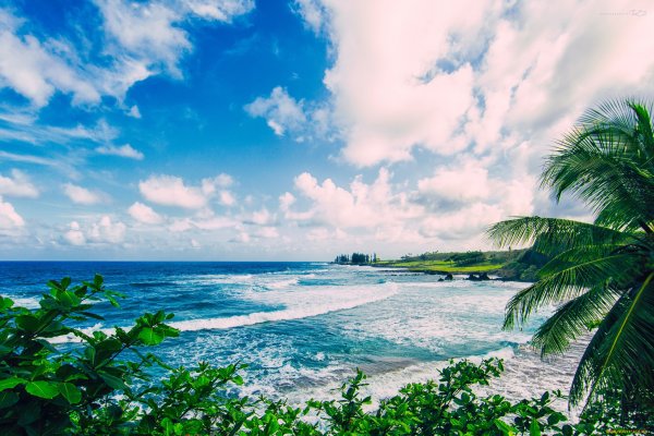 Море закат волны