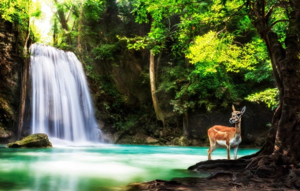 Фотообои водопад Erawan