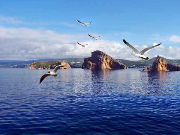 Лошади и море