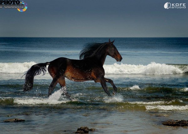 Подводный мир три цвета воды
