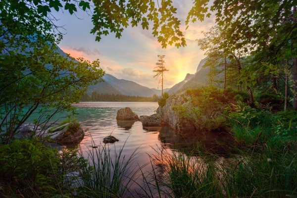 Водопад с рыбками