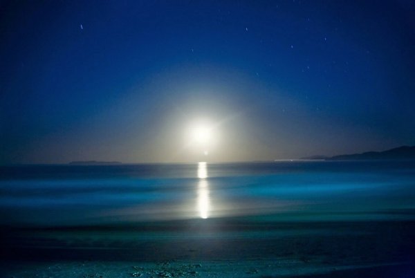 Лунная дорожка на море