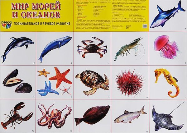 Карточки. Морские животные