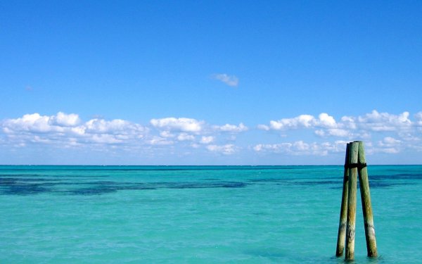 Летние рисунки