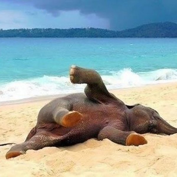 Наконец то приехала на море